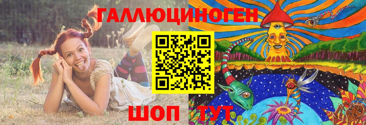 Псилоцибиновые грибы GOLDEN TEACHER Полысаево
