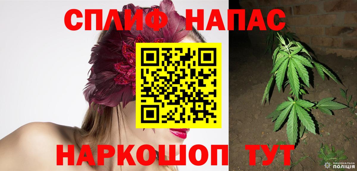 Бошки Шишки гибрид Полысаево